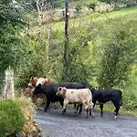 Fintra Bay Hideaway * Killybegs