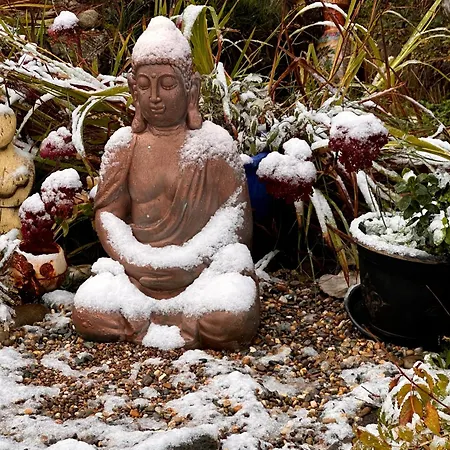 Fintra Bay Hideaway Appartement *