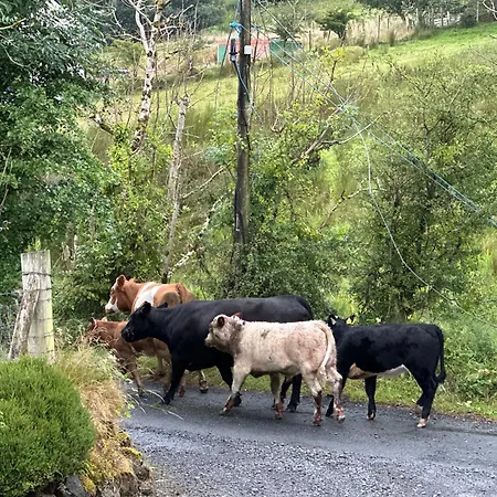 Fintra Bay Hideaway * Killybegs