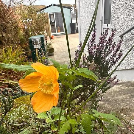 Fintra Bay Hideaway Appartement