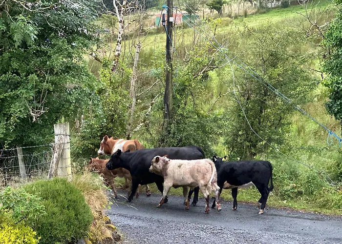 Fintra Bay Hideaway * Killybegs