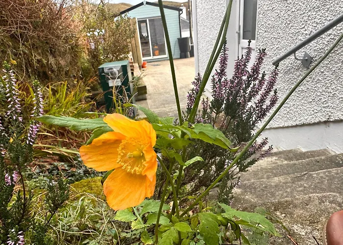 Fintra Bay Hideaway Apartmán